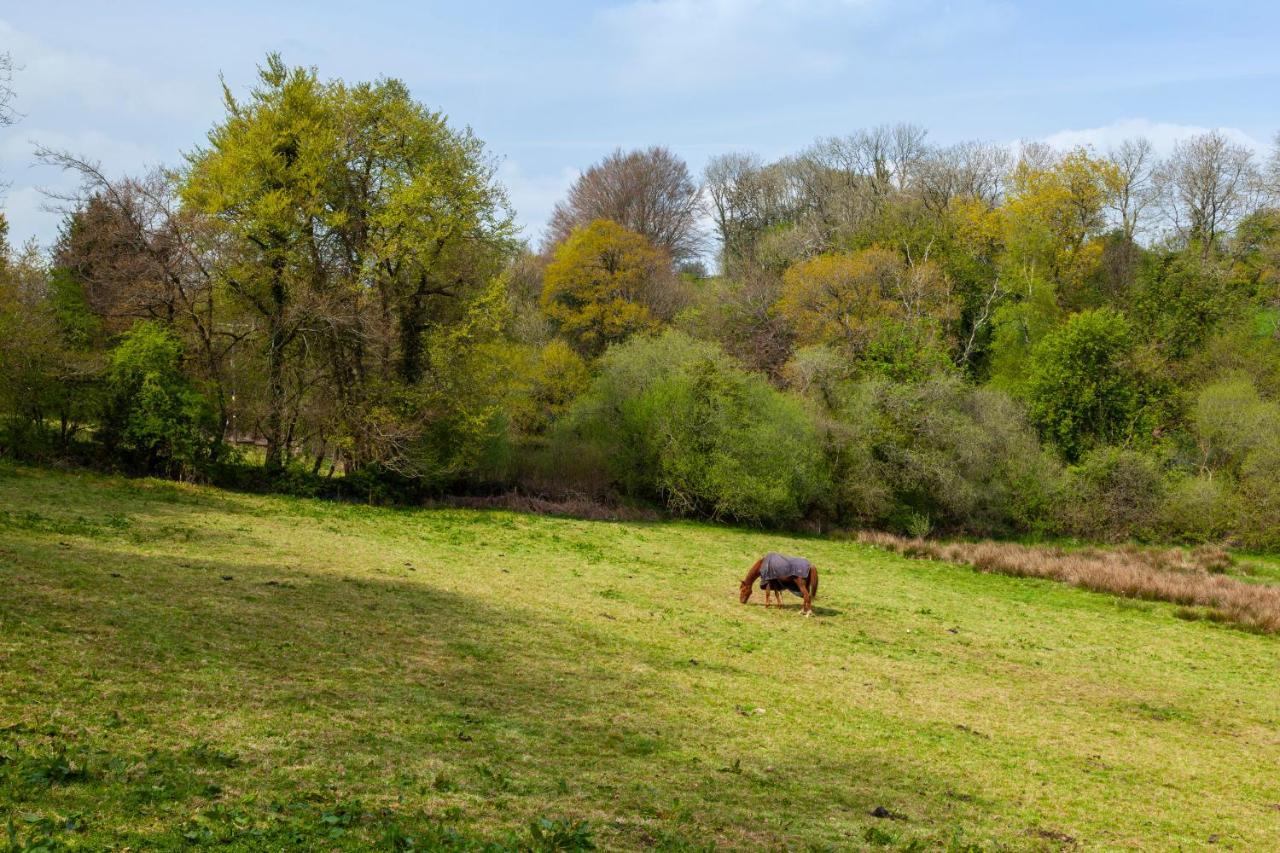 Southcott Farm Cottage โฮนิทัน ภายนอก รูปภาพ