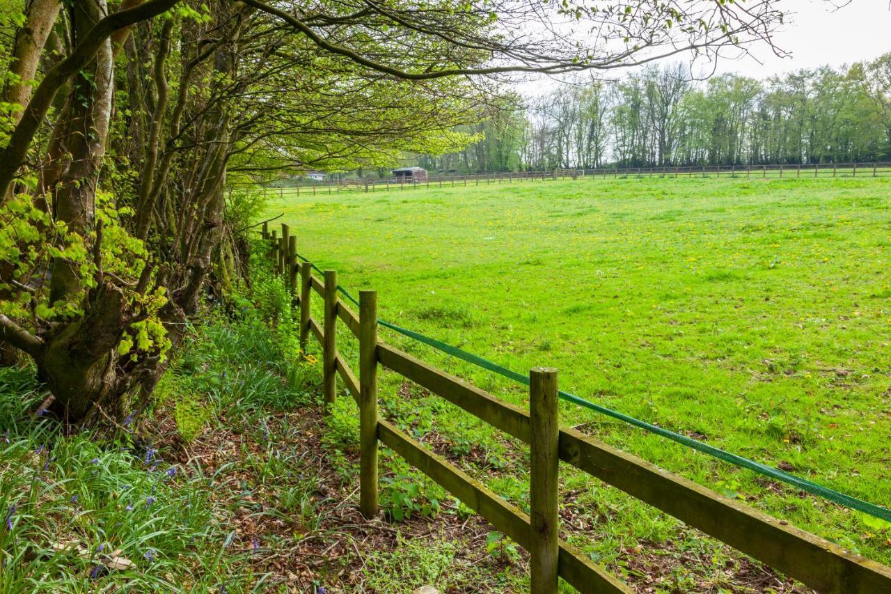 Southcott Farm Cottage โฮนิทัน ภายนอก รูปภาพ